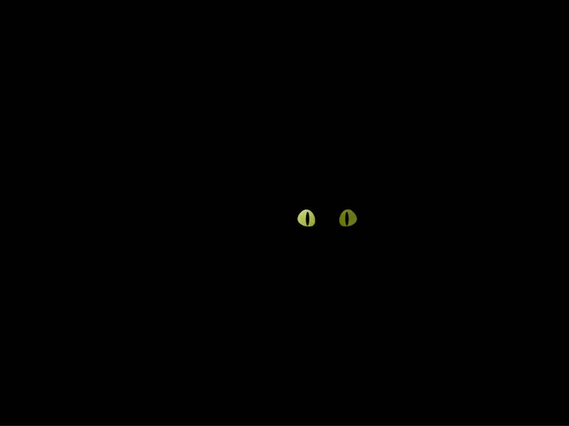 Hoptimist Cat XS black 5,3cm