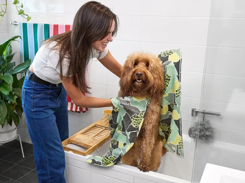 Dock & Bay Hundehandtuch M Undercover Walkies 90x50cm
