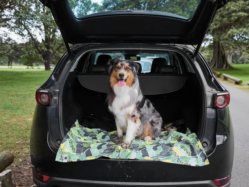 Dock & Bay Hundehandtuch M Undercover Walkies 90x50cm