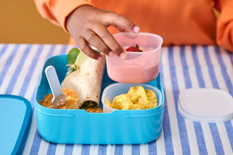 Brotdose Little Farm groß mit Bento-Einsatz und Gabel Campus