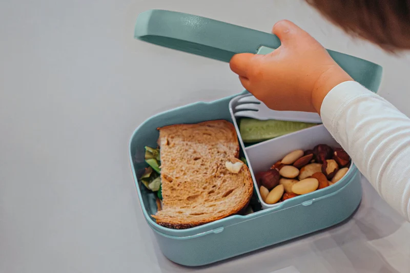 Campus Brotdose Fairy Garden mit Bento-Einsatz und Gabel