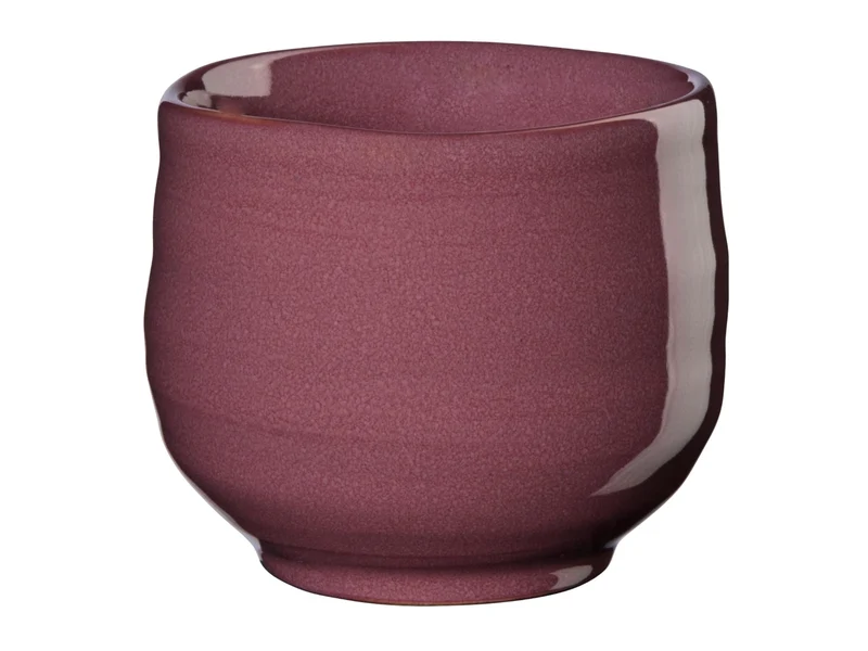 ASA umami Teebecher berry 0,2l