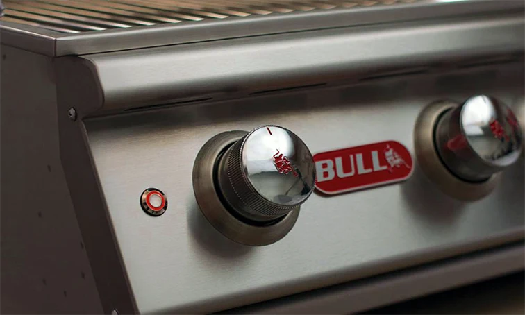 Bull Brahma