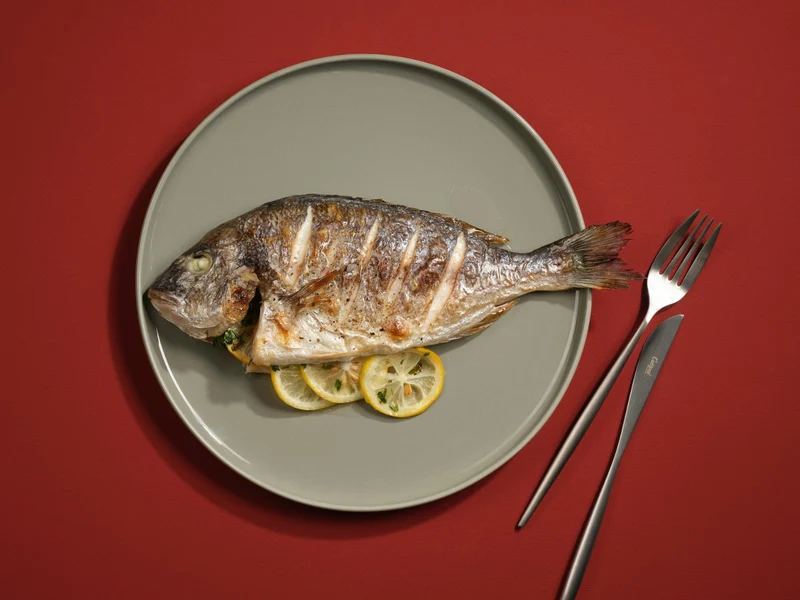 ASA coppa Speiseteller shiso 26,5cm