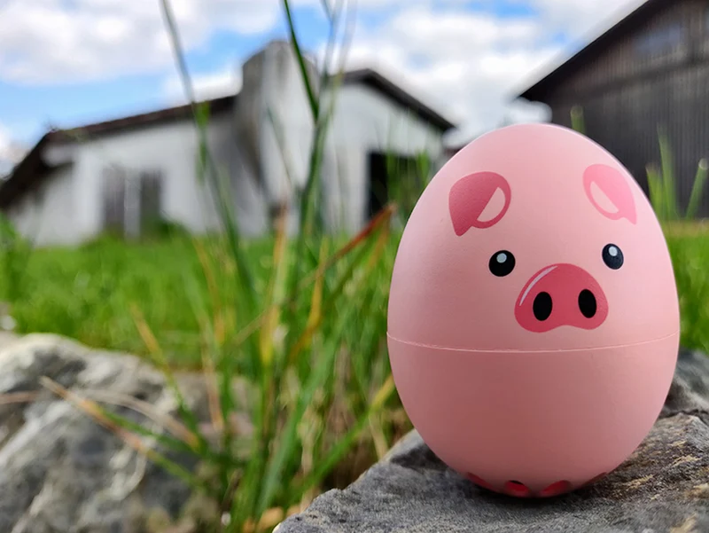 PiepEi Eieruhr zum Mitkochen „Schweinchen“