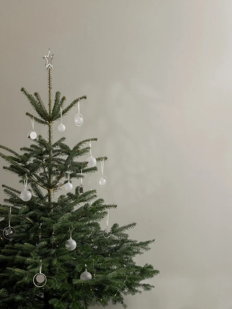 Blomus JUHLA Weihnachtsschmuck M clear 7cm 4tlg
