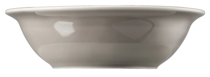 Thomas Trend Colour Moon Grey Bowl 17 cm