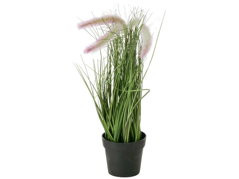 Boltze Topfpflanze Gras mehrfarbig sort. 46cm (1 Stück)