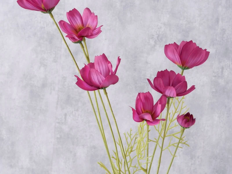 Boltze Stielblume Cosmea grün/pink 91cm