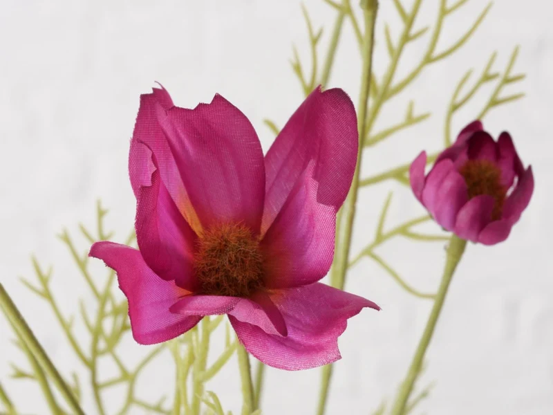 Boltze Stielblume Cosmea grün/pink 91cm