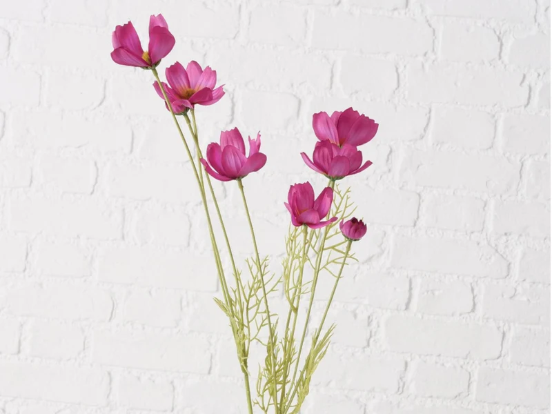 Boltze Stielblume Cosmea grün/pink 91cm
