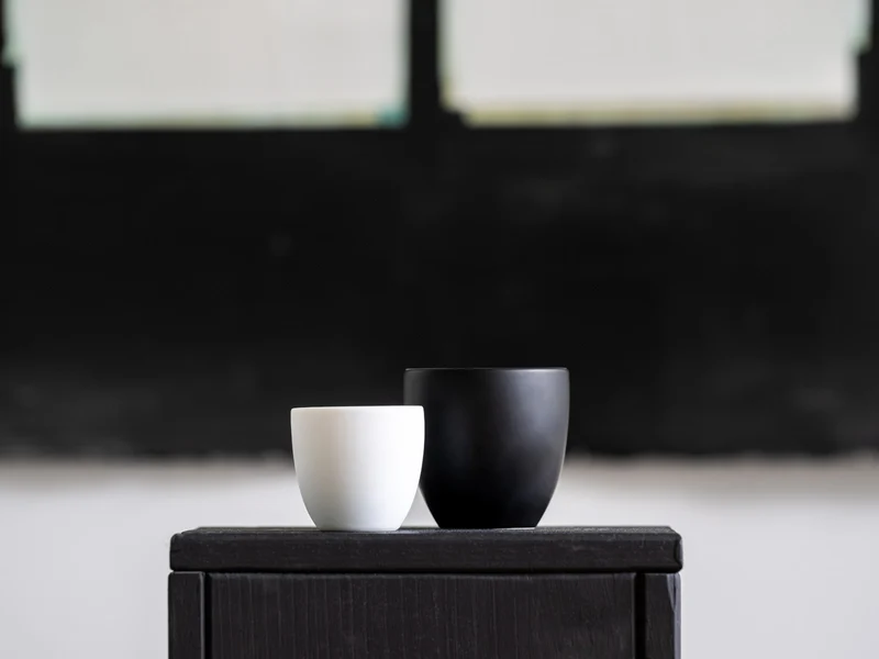 Rosenthal the cup+ Delicate Black Lungo doppelwandig 0,18l