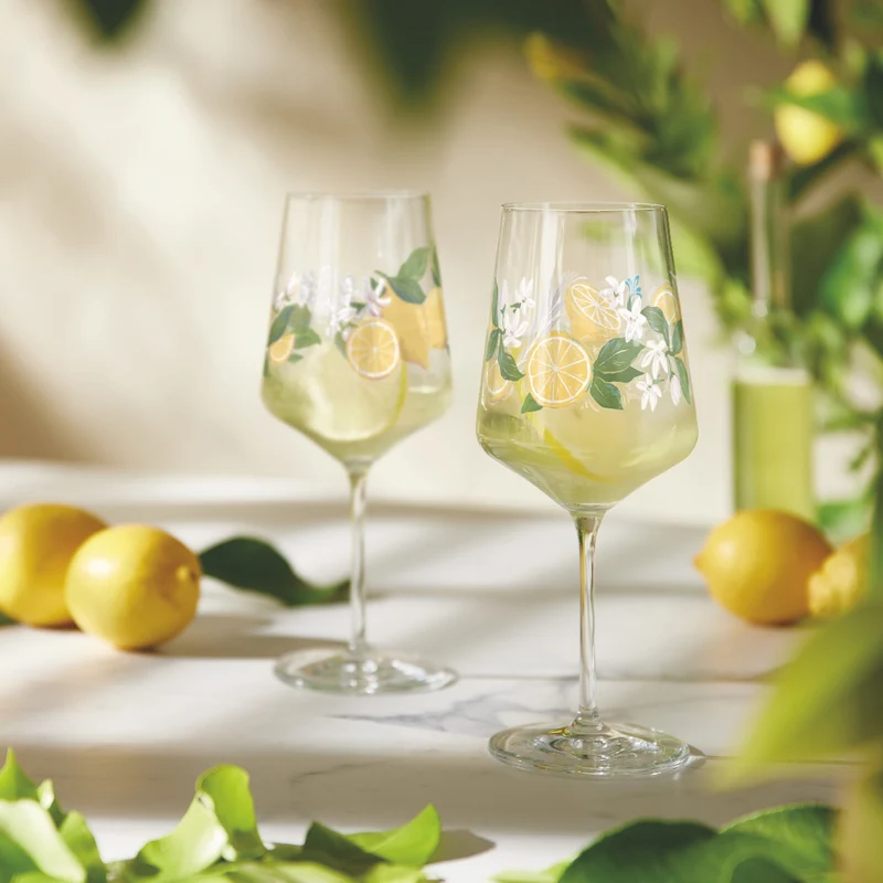 Ritzenhoff Sommertau Limoncello 2er Set F25