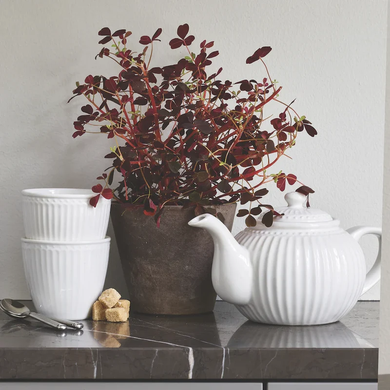 Greengate Alice Tasse mit Untertasse white 8,5cm Set6