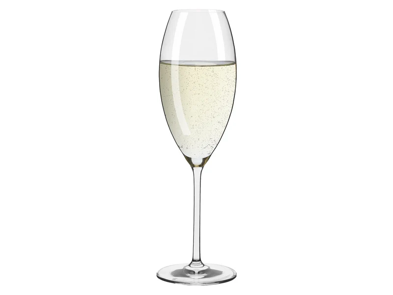 RITZENHOFF Glanzlicht Champagnerglas 2er Set H24 #1
