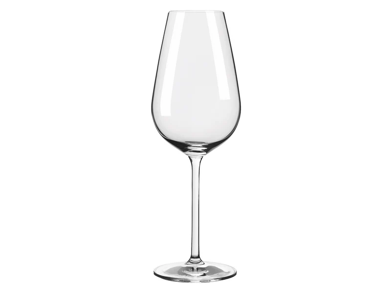 RITZENHOFF Glanzlicht Weinglas / Champagnerglas 12er Set H24