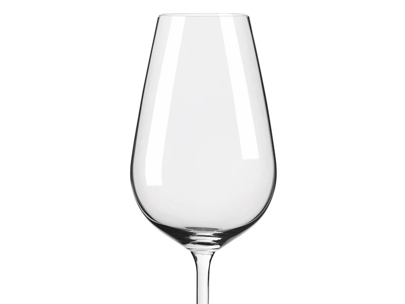 RITZENHOFF Glanzlicht Weinglas / Champagnerglas 12er Set H24