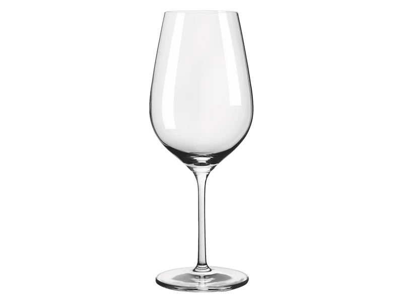 RITZENHOFF Glanzlicht Weinglas / Champagnerglas 12er Set H24