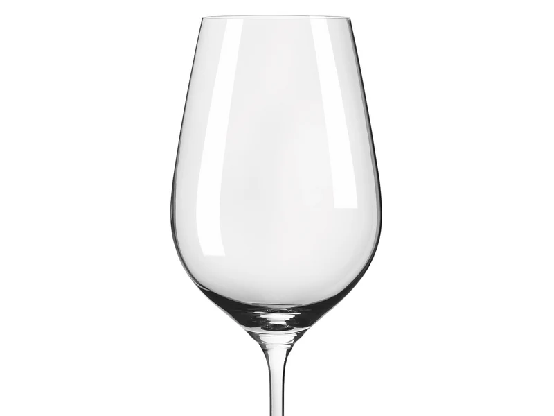 RITZENHOFF Glanzlicht Weinglas / Champagnerglas 12er Set H24