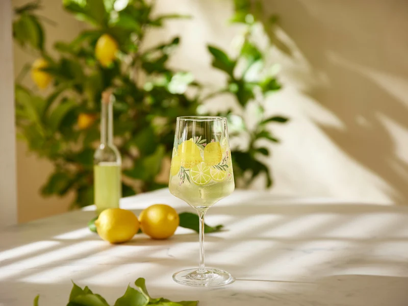 RITZENHOFF Sommertau Limoncello 2er Set (A.Vasconcelos/C.Kordes) F24 #19 #20