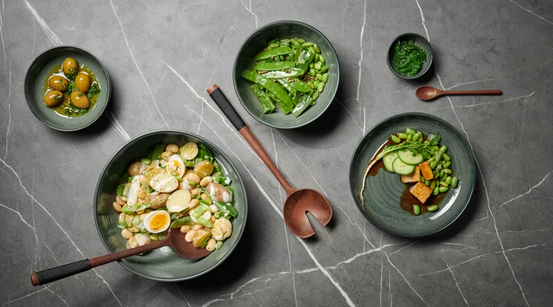 ASA poké Fusion Plate ocean 22cm