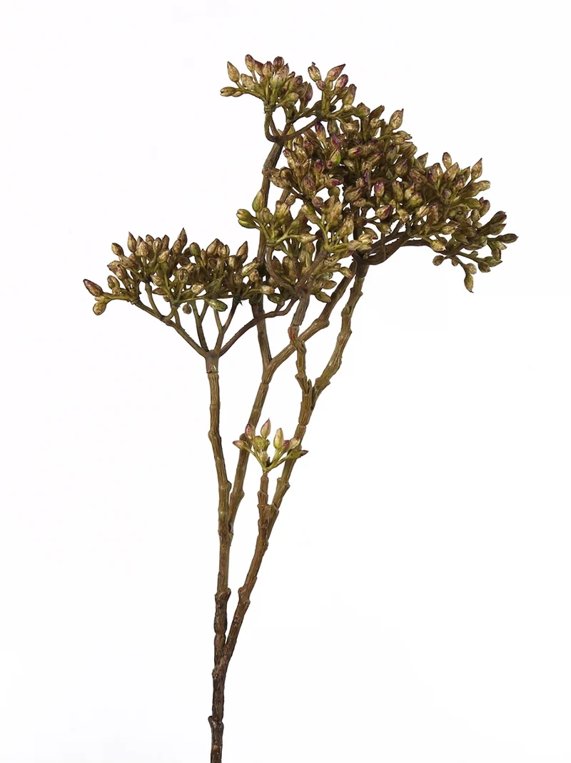 Decostar Claris Baldrian Pflanze grün