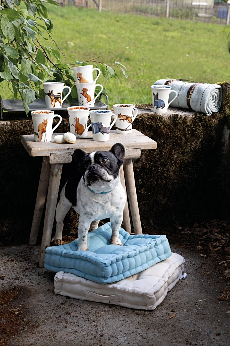 Hutschenreuther My Mug Hunde - franz. Bulldogge Becher mit H.0,4 l