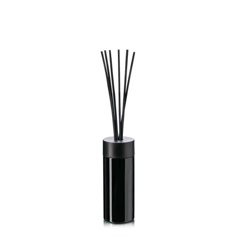 Diffuser Flasche inkl. Kappe und Stäbchen im Set