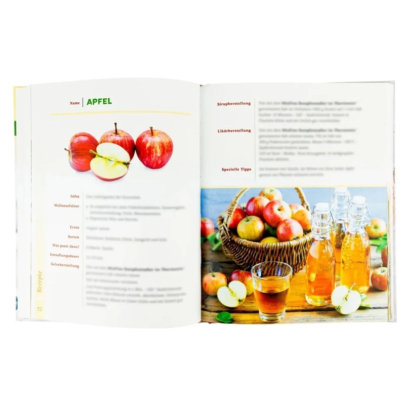 Dampfentsafter-Fibel für den Thermomix